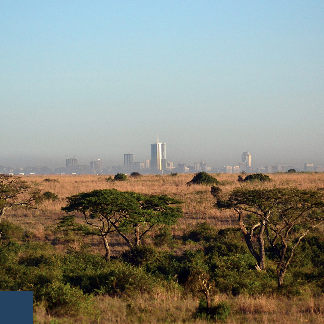 International Development - a city on the outskirts of the desert