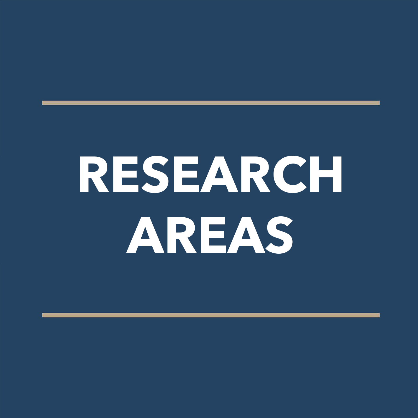 Research Areas