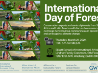 Event card with date, time and detail with images of forest