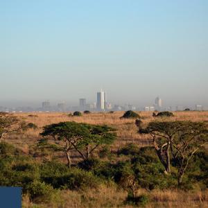 International Development - a city on the outskirts of the desert