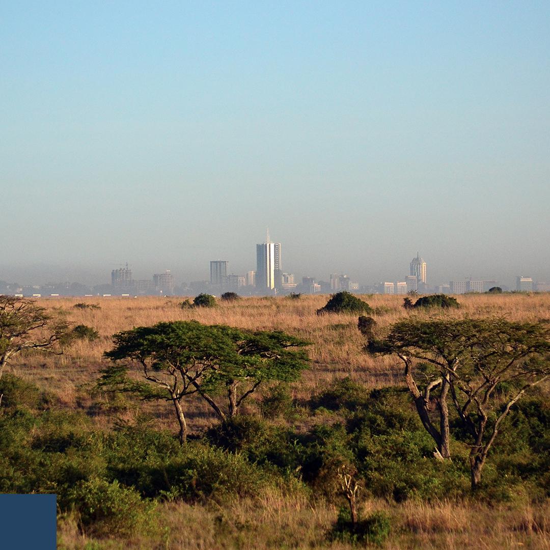 International Development - a city on the outskirts of the desert
